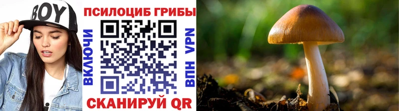Галлюциногенные грибы ЛСД  Кирсанов 