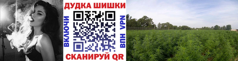 KRAKEN маркетплейс  Кирсанов  Марихуана Amnesia 